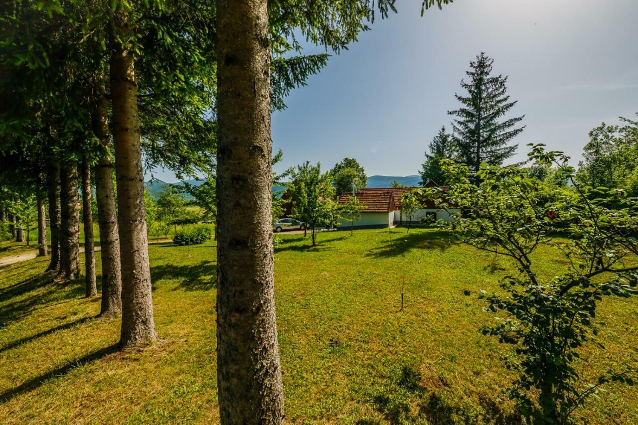 Beautiful Cottage With Heated Pool For 22 Ppl Plaški Buitenkant foto