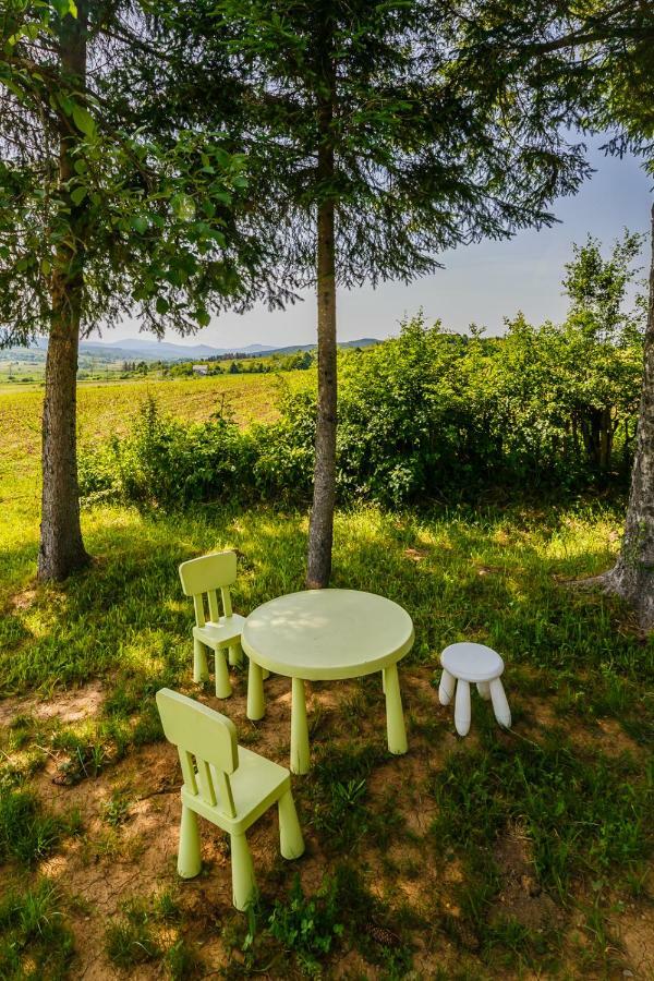 Beautiful Cottage With Heated Pool For 22 Ppl Plaški Buitenkant foto