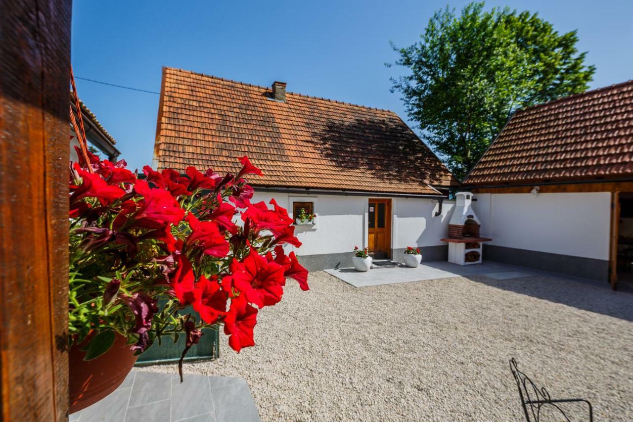 Beautiful Cottage With Heated Pool For 22 Ppl Plaški Buitenkant foto